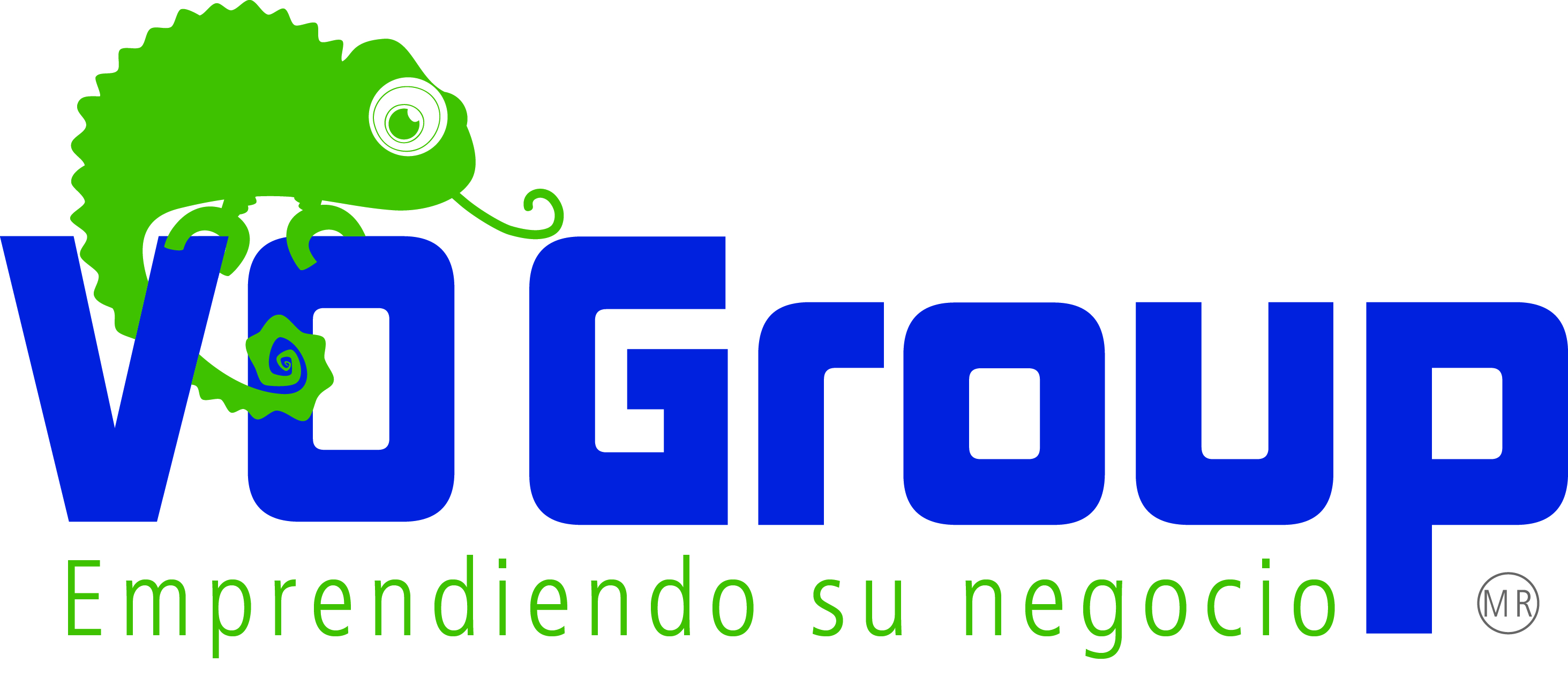 VO GROUP